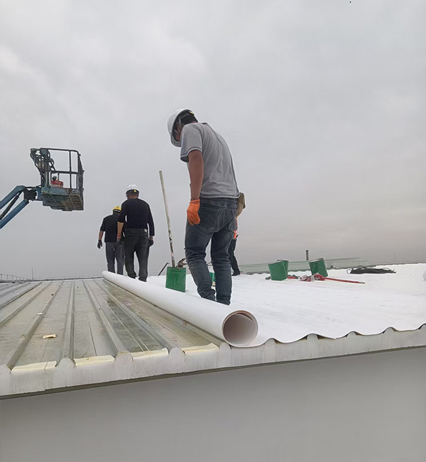 淮安昊帆生物医药有限公司TP0卷材施工现场